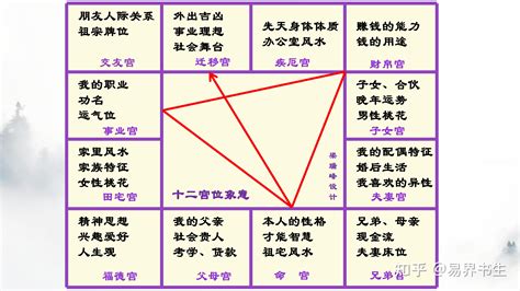 紫微斗數十二宮|紫薇十二宫